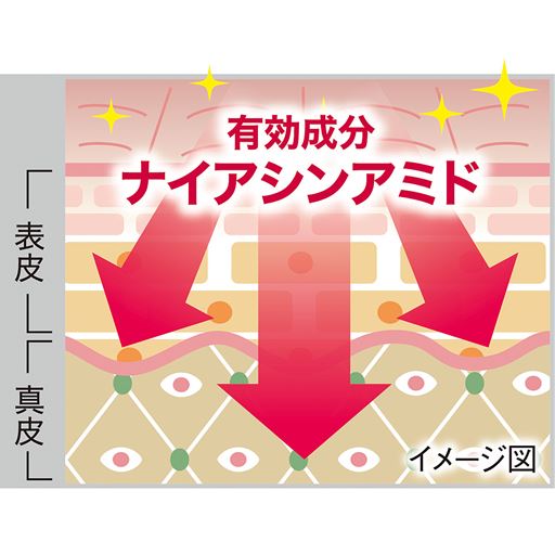使う度にシワ改善! 肌の奥(真皮)までアプローチ。今あるシワをしっかりケアし、ハリ感のある肌へ導きます。