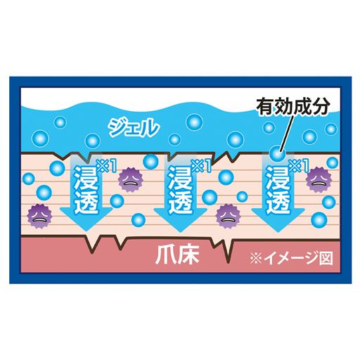 ジェル状だからしっかりとどまり、ぐんぐん浸透(※1)。<br><br>※1 角質層まで