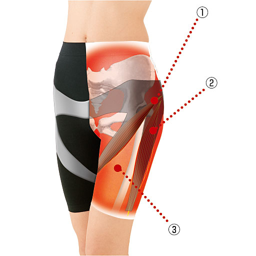 (1)最強圧…基本となる股関節周りを強化 (2)強圧…股関節周りの筋肉をサポート (3)弱圧…足運びをスムーズにする伸縮性に優れたフィット感のある生地 ※イメージ