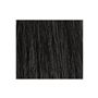 ナチュラルブラック なじみの良いブラック<br>※毛束は着色見本 <br>※着色効果には個人差があります。
