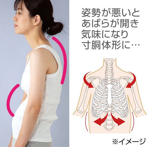 姿勢が悪いとあばらが開き気味になり、寸胴体型に…