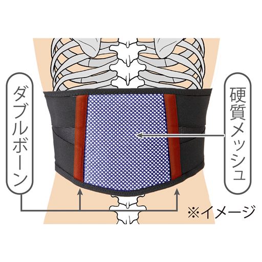 ダブルボーンと硬質メッシュ素材が背骨とあばらをしっかり支えサポートします。