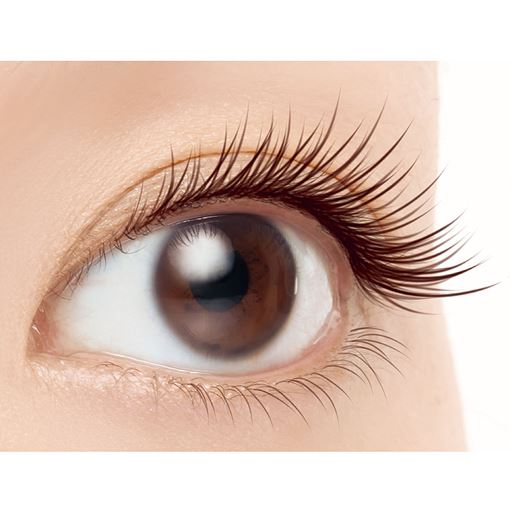 1本1本上向き美まつげ ※ダークブラウン使用イメージ