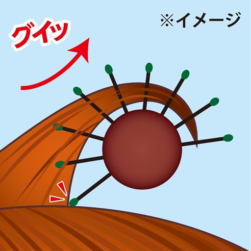 根本から立ち上げボリュームアップ