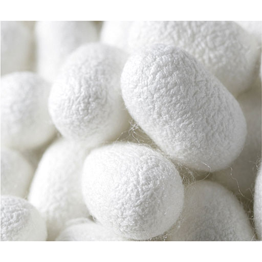 全面シルク混率:約98%<br>※イメージ