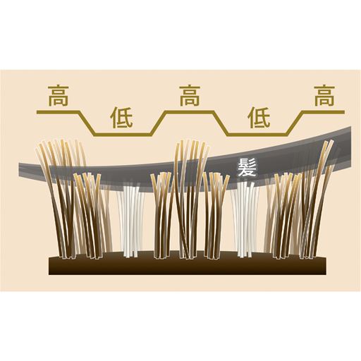髪をしっかりキャッチしてボリュームアップ 高さの異なった2段植毛