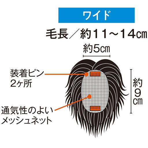 トップを広めにカバー