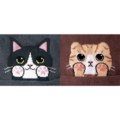 (左から)A(ハチワレ)、B(スコティッシュ)