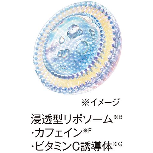 浸透型リポソーム ※イメージ<br><br>※B 浸透型とは角層まで <br>※F うるおい成分 <br>※G ビタミンCテトライソパルミテート(うるおい成分)