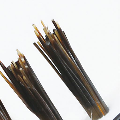 (2)短い毛が表面をなでてツヤ出し効果。