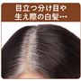 目立つ分け目や生え際の白髪・・・