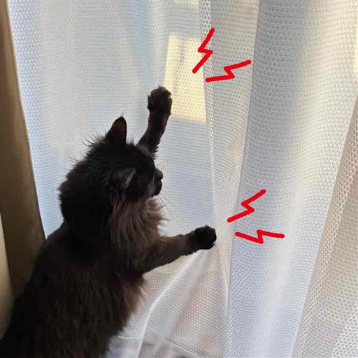 破れ・汚れを防ぐペットの引っ掻き対策