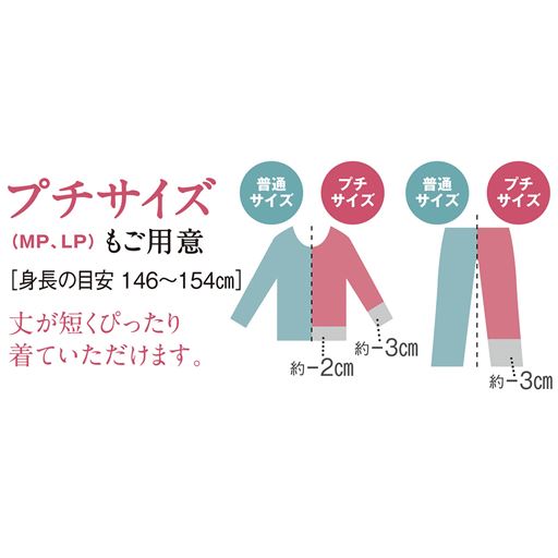 プチサイズもあります