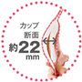 カップ断面 約22mm