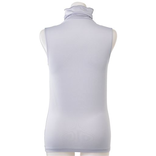 シルバーグレー バックスタイル