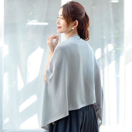 アイスグレー<br>バックスタイル