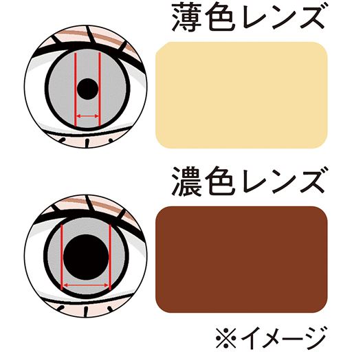 薄色レンズがおすすめ! 色が濃いレンズだと瞳孔が開き、有害光線が多く入ってきやすくなります。薄色レンズなら瞳孔が開きすぎず、屋内外を問わず使えて便利です。