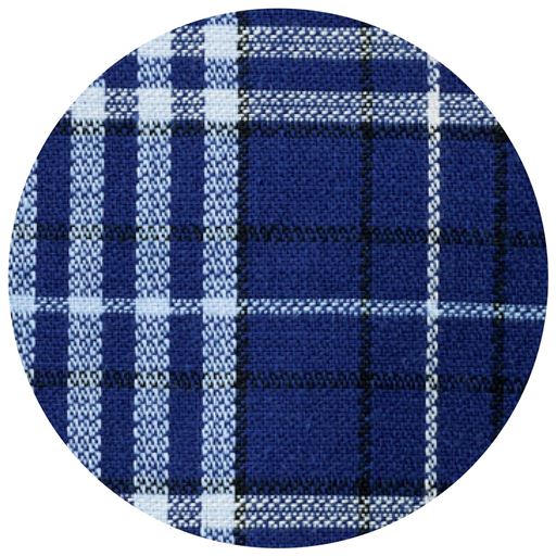 ネイビー系 柄アップ