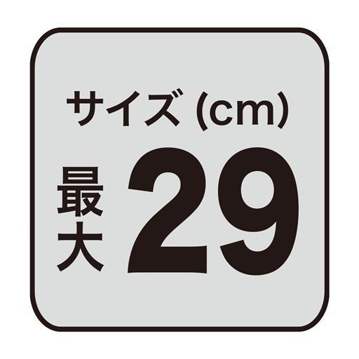 最大サイズ29cm