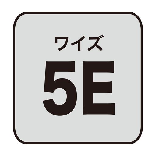 ワイズ 5E