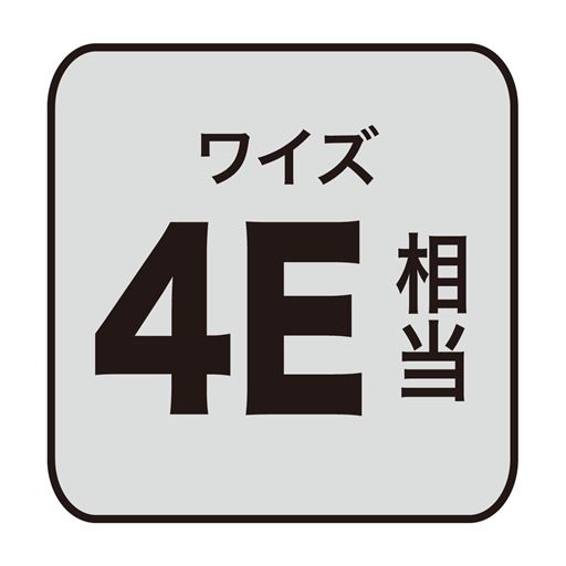 ワイズ 4E