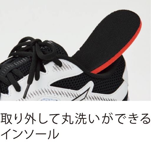取り外して丸洗いができるインソール