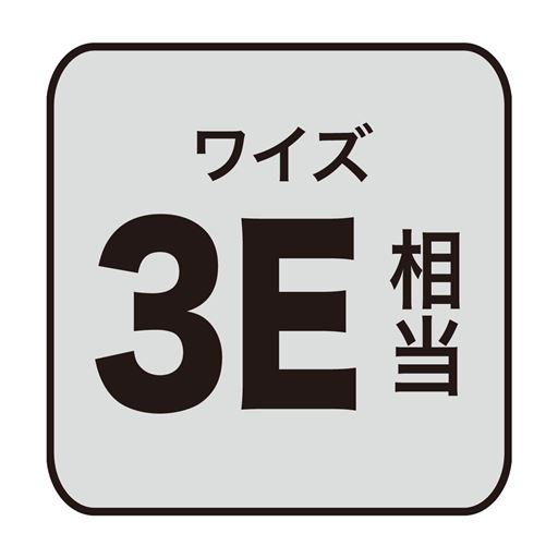 ワイズ 3E 相当