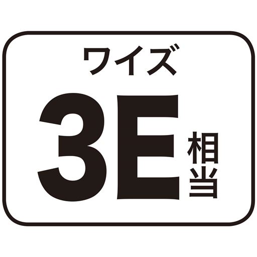 ワイズ3E相当