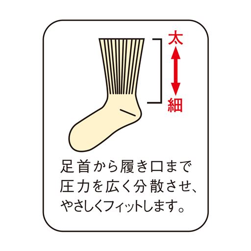 足首から履き口まで圧力を広く分散させ、優しくフィットします。