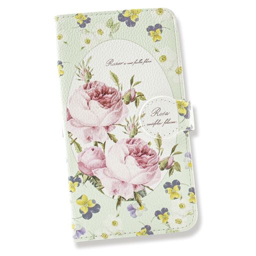 E(ロサ・ケンティフォリア)