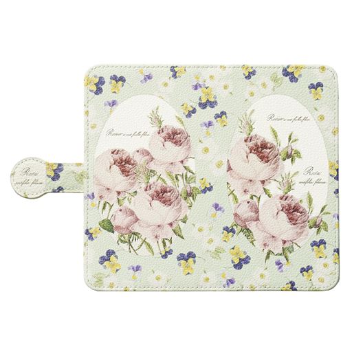 E(ロサ・ケンティフォリア)