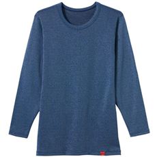 GUNZEロングスリーブシャツ