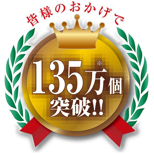 ※2019年から2025年8月までのメーカー販売実績