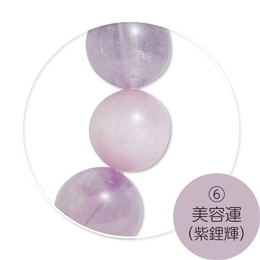 (6)美容運(紫鯉輝)