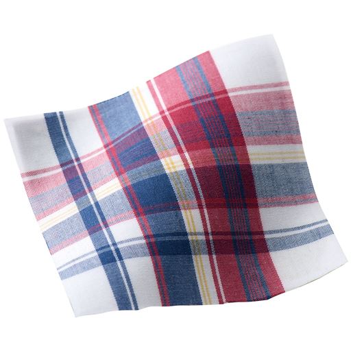 レッド系 生地拡大