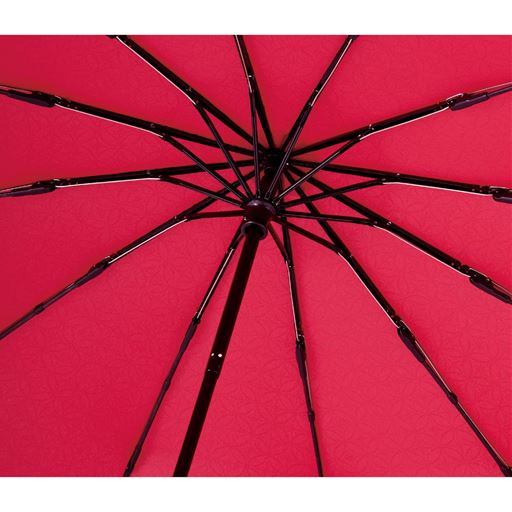 風にあおられにくい 軽く丈夫なグラスファイバー製の12本骨