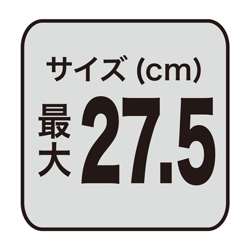サイズ(cm)最大 27.5
