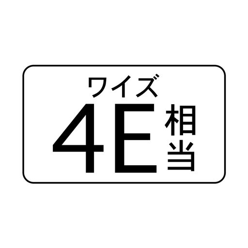 ワイズ 4E 相当