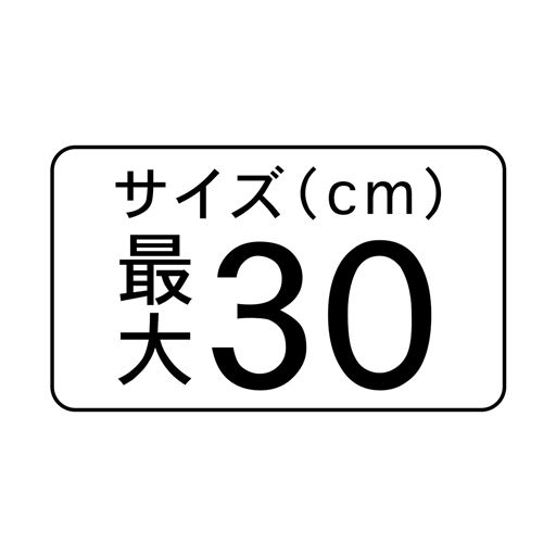 サイズ(cm)最大 30