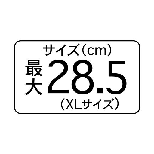 サイズ(cm)最大 28.5(XLサイズ)