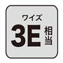 ワイズ 3E 相当