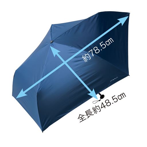 全長約48.5cm・広げた大きさ約78.5cm