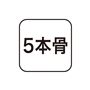 5本骨
