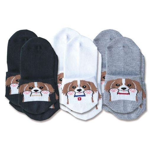 6足組(3色×各2足)