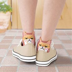 ひょっこり可愛い にゃんこソックスⅡ 6足組