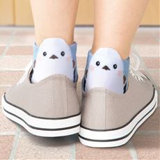 ひょっこり可愛い 小鳥ソックス6足組