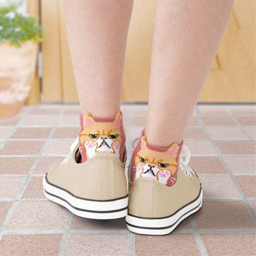 ひょっこり可愛い にゃんこソックスⅡ 6足組