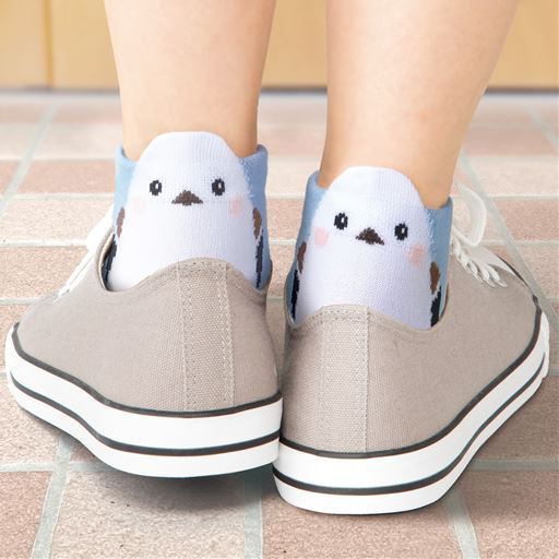 ひょっこり可愛い 小鳥ソックス6足組