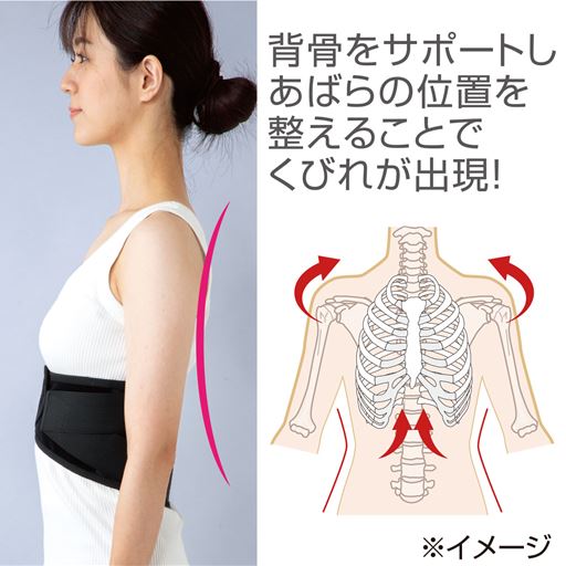 背骨をサポートしあばらの位置を整えることで、くびれが出現!