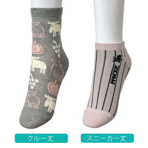 丈はA・B・Cセット共通です